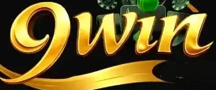 9winlogin.info Logo